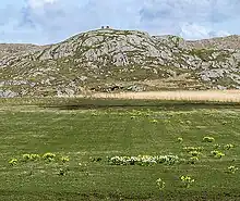 Photograph of moorland on Coll