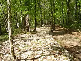 Roman road in Faverolles