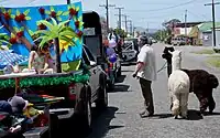 Christmas parade in Featherston incorporating New Zealand iconography and flora