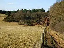 Picture of an fence and track along the edge of the woodland