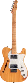 Single F-Hole on a Fender Telecaster Thinline guitar