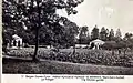 Vegetable garden of the Agricultural and Horticultural Institute of Bierbais.