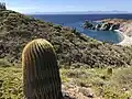 Habitat on Santa Catalina Island