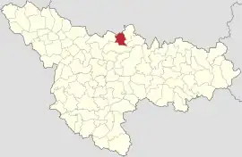 Location in Timiș County