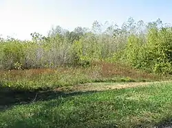 Daugherty-Monroe Archaeological Site (12SU13)