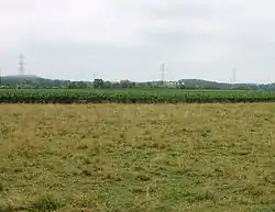 Field in Madison Township