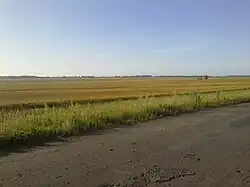 Field scene, Kalmansky District