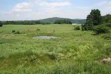 Photograph of farm fields in Fairfield, VT