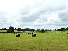 Fields near Clock House Lane