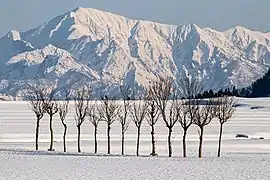 Paddy fields and mountains in Ojiya in winter