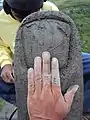 Showing the size of the statue's fingernail compared to the sculptor's hand.