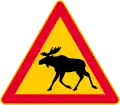 Animals (Elk)