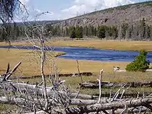 Fountain Flats on The Firehole in September