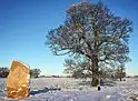 Soulton Standing Stone One