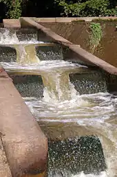 A small fish ladder on the River Otter, Devon