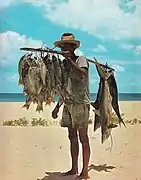 A fisherman and his catch, including small sharks, hooked on hand lines miles offshore in the Seychelles