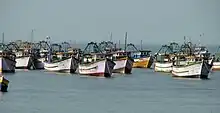 Set of boats anchored in the shores.