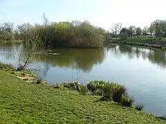 Classic fishing pond used by the Clay Cross Angling Club