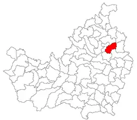 Location in Cluj County