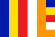 Flag flown by Vietnamese buddhist during the protests.