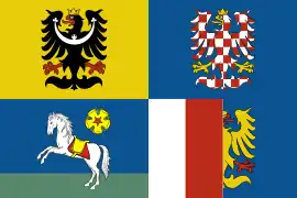 Moravian-Silesian Region