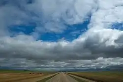 Open prairie near Lewvan