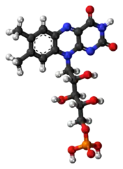 Ball-and-stick model of the flavin mononucleotide molecule