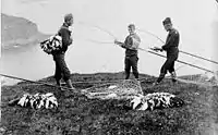 Bird hunters at the Faroe Islands.