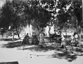 Family playing cricket