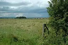 A flat field covered in grass