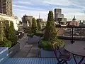 Garden roof terrace