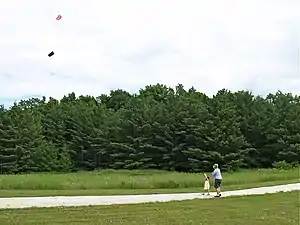 Flying kites