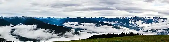 Fog at Hurricane Ridge