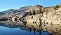 North aspect of Dicks Peak reflected in Fontanillis Lake