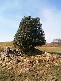 Ancient Bronze Age mounds