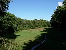 outdoor photograph of a large, grassed open space, with trees