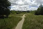 Looking west from the A65 along the former railway trackbed