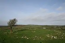 Photograph of the summit of Freestone Hill. Remnants of the burial cairn can still be observed around the site.