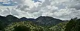 Huachuca Mountains