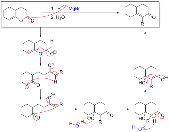 mechanism of the reaction