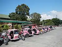 Tricycle terminal