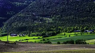 Farms in Bø