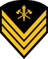 Terceiro-sargento(Military Firefighters Corps)