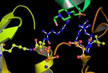 Active site of GSK-3