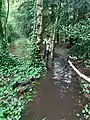 Flash flooding of path by mud bench after thunderstorm in July 2021; this path has never flooded before.