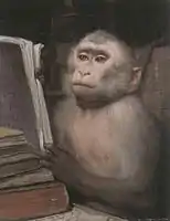 The reading ape