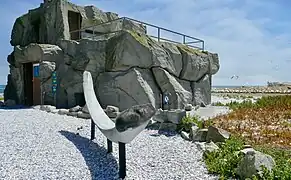 Gannet lookout