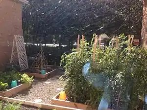 Garden area at Avon Lake Public Library