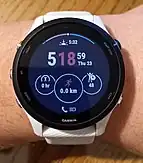 GarminForerunner255MusicWhitestone