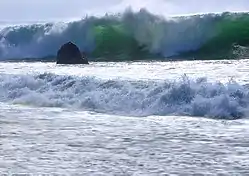 Garrapata coast is characterized by its big waves.